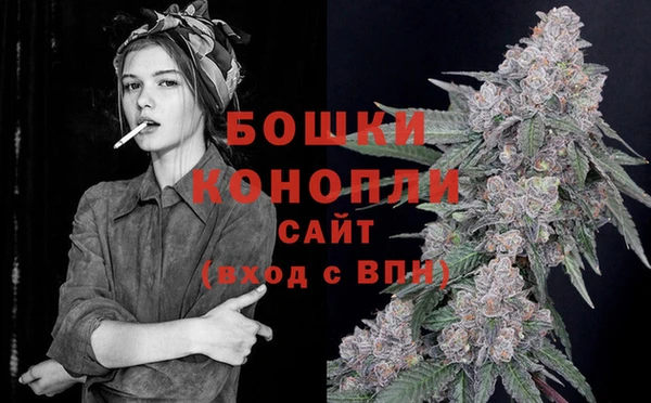 мдма Гусиноозёрск
