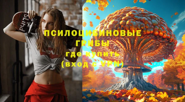 мдма Гусиноозёрск