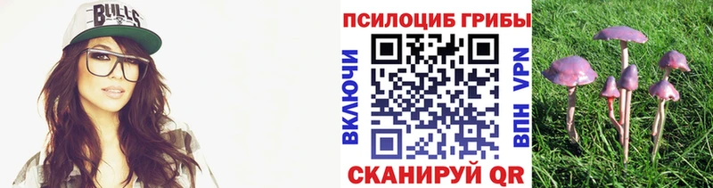 площадка клад  Димитровград  Псилоцибиновые грибы прущие грибы 